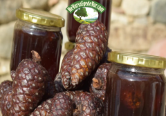 Kozalak Şurubu