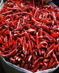 Nevarsaegedevar Atom Acı Biber 500 Gram