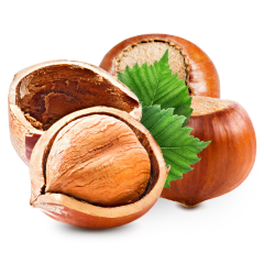 Çiğ Fındık İçi