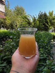 Limon Sarımsak Kürü