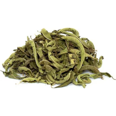 Melisa Çayı 20 Gram